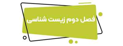 هندسه دهم