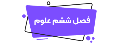 زبان هفتم